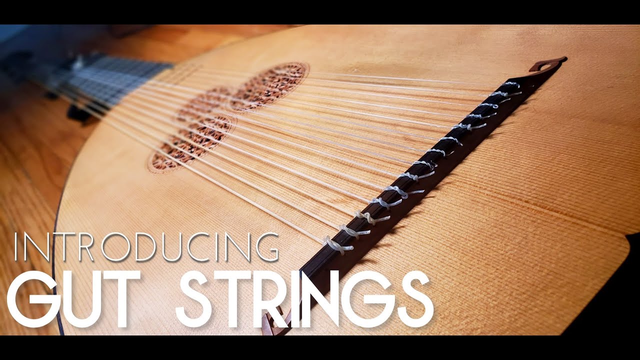 Introducing: Gut Strings