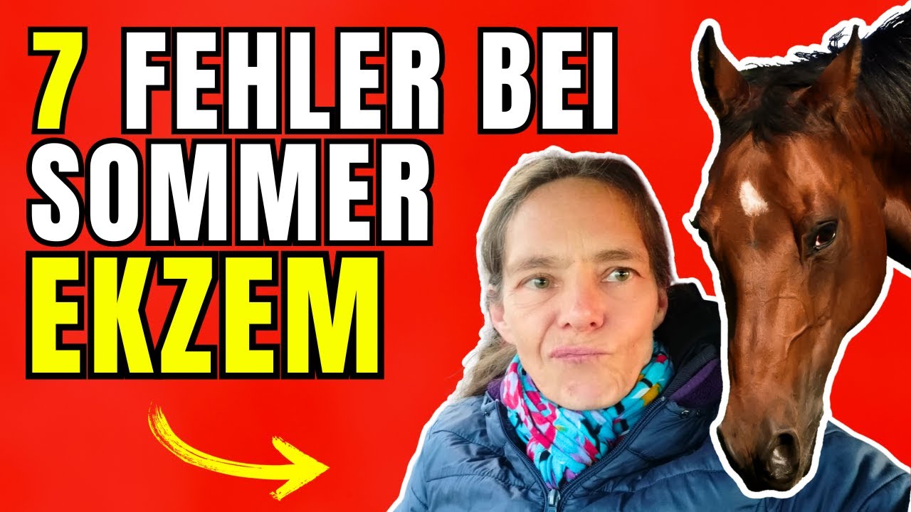 Sommerekzem beim Pferd: 7 Mythen der Reiterwelt!