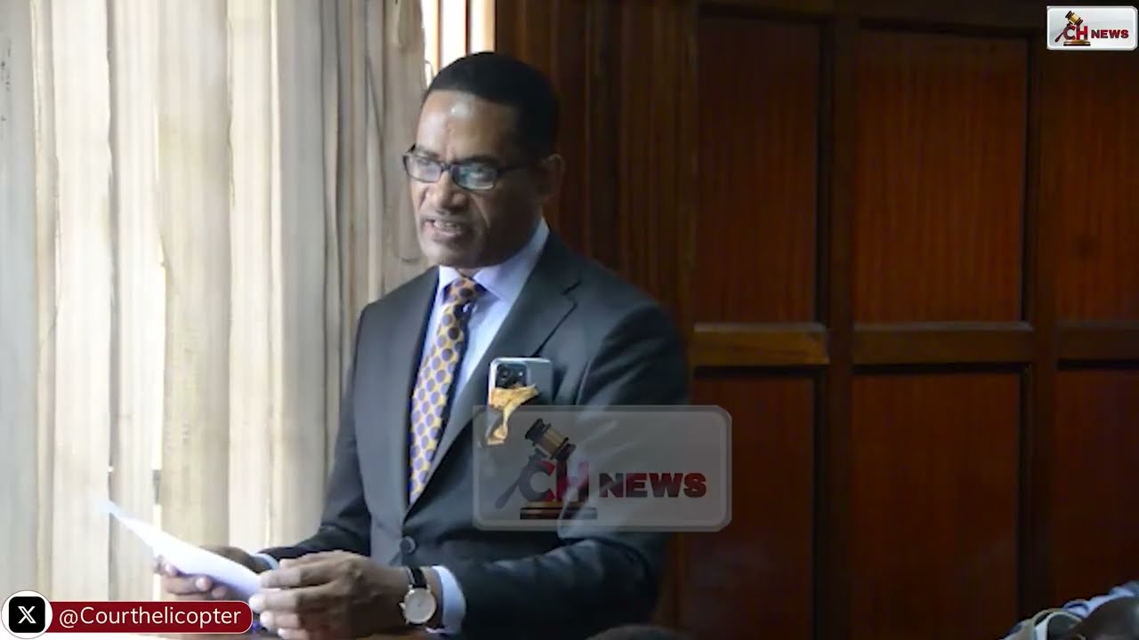 Courtroom Standoff: Lawyer Clashes with Magistrate Alego Over &lsquo;Fake&rsquo; Order