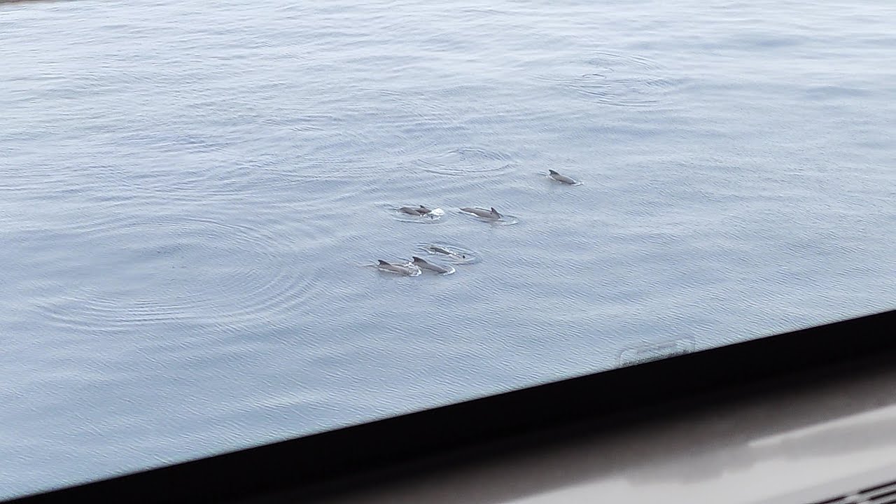 SAGA Spirit of Adventure in Leknes, Lofoten Islands Norway
