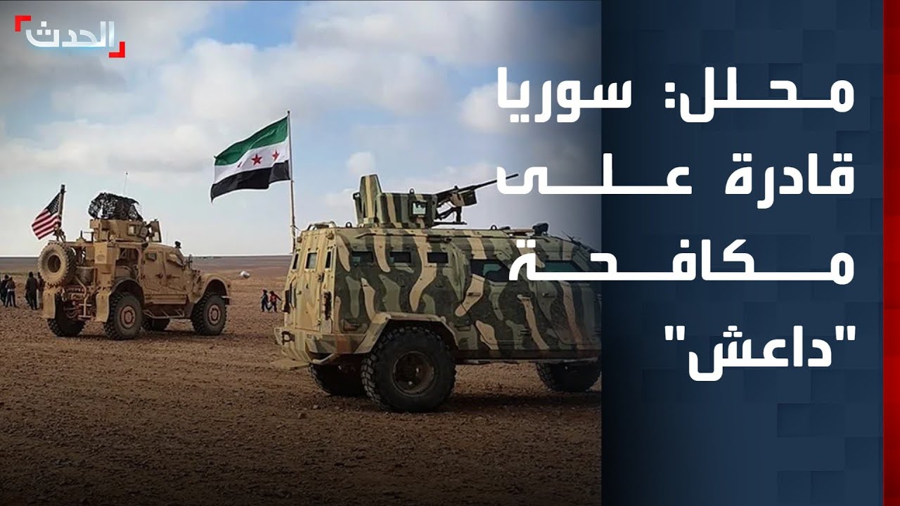 محلل: سوريا قادرة على مكافحة 