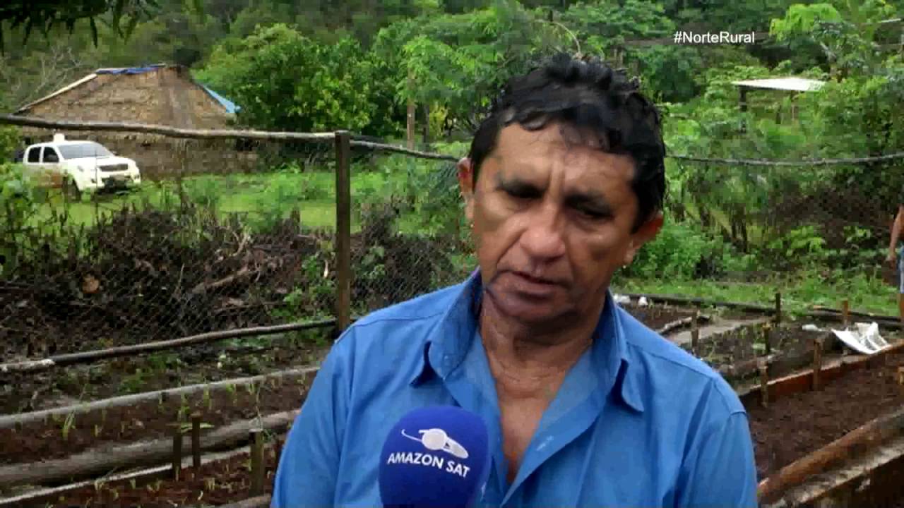 Norte Rural | A agricultura dos índios Karitianas da Amazônia