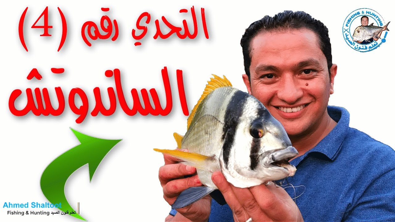 التحدي رقم ( 4 ) الصيد بالخبز بطريقة الساندوتش باليد !!!