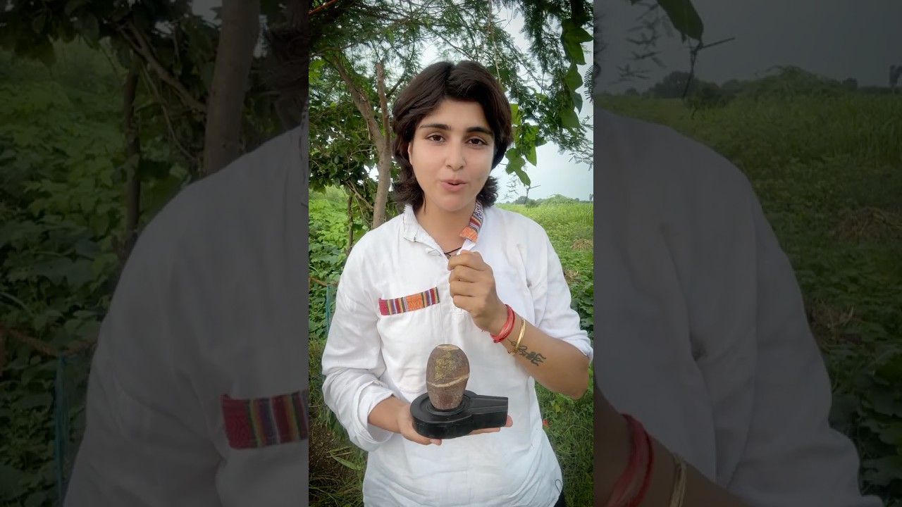 Narmadeshwar Shivling ...Narmada parikrama me mile   #shorts