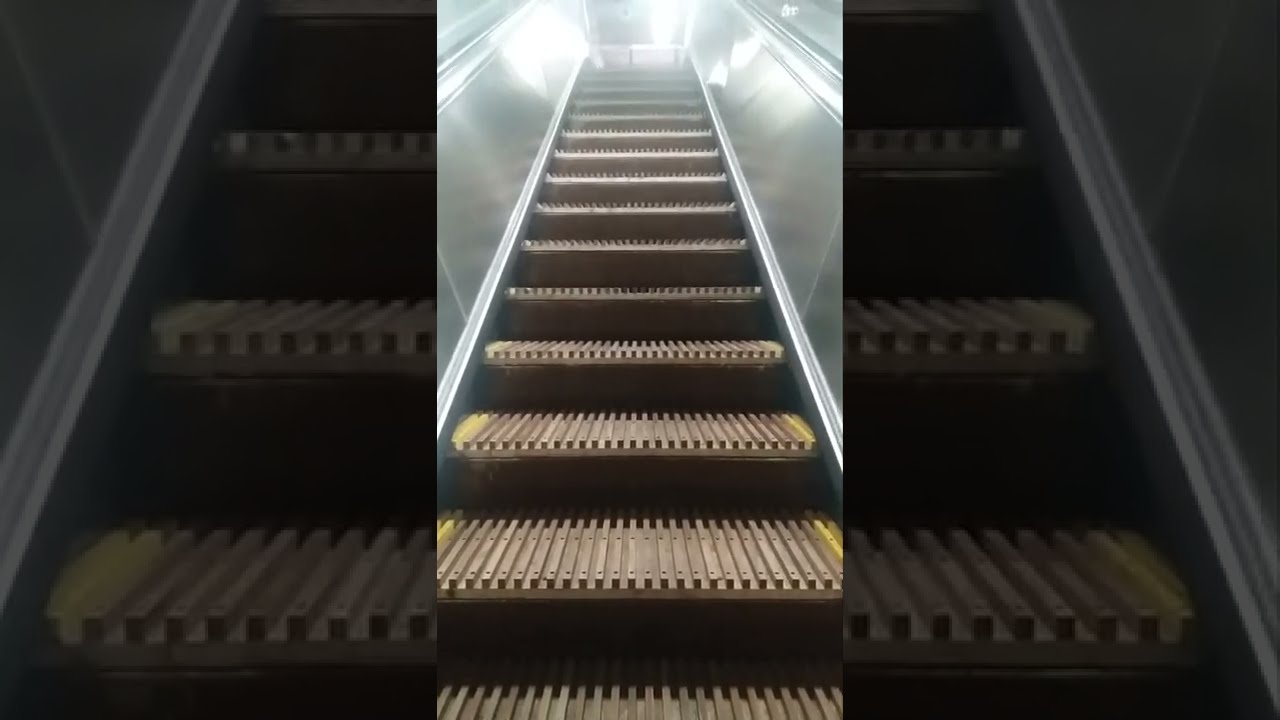 Wooden escalator, Sydney Town Hall station