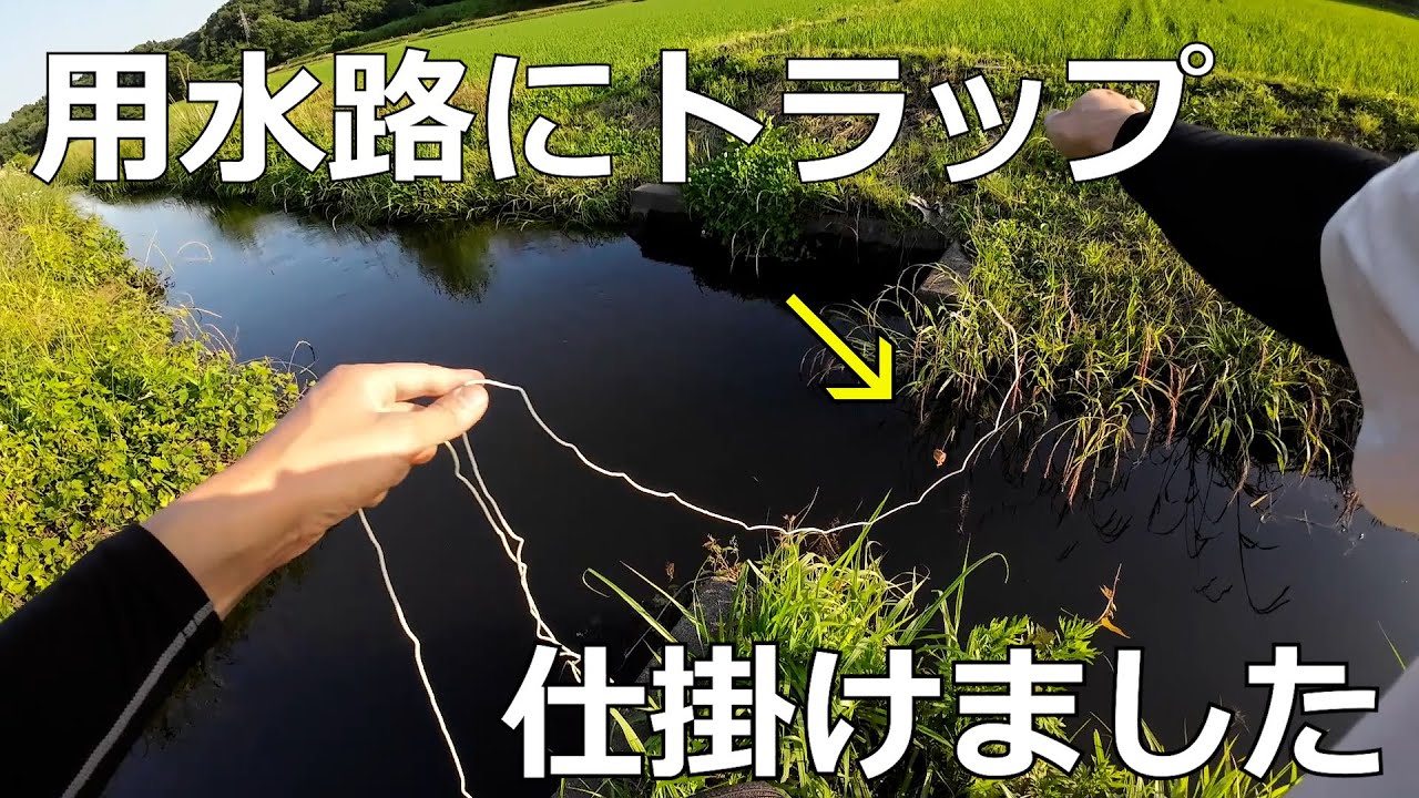用水路に罠を仕掛けたら笑うしかなかった