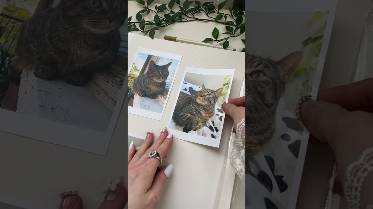 Vienrose DIY Scrapbook Album 🤍 ASMR