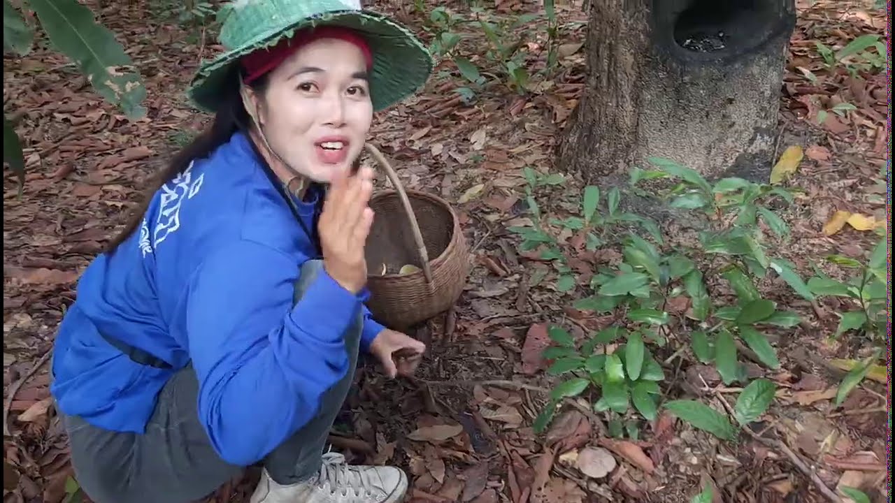 #Ep1หมานๆเก็บเห็ดอำเภอโพนทราย จ.ร้อยเอ็ดเห็ดไคหลายคักจ้า