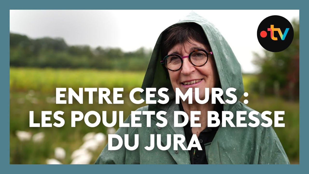 Entre ces murs, d'heureux poulets de Bresse