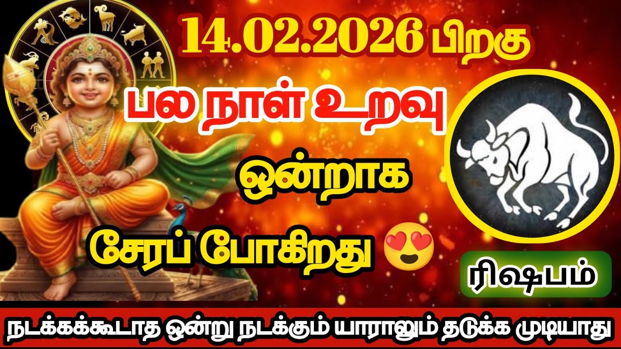 ரிஷபம் - பலநாள் உறவு ஒன்றாக சேரப்போகிறது/#rishabam/#rasipalan 