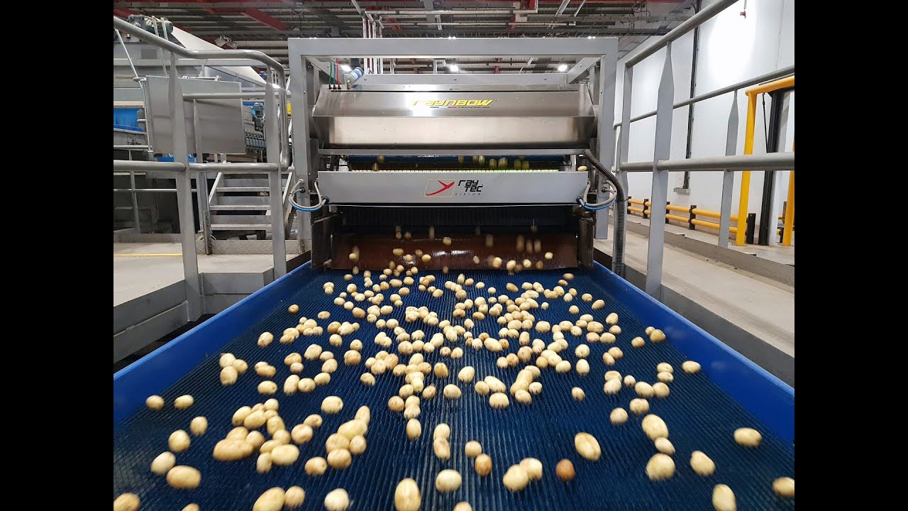 Advanced Potato Sorting Machines by Raytec Vision | Efficient, High-Quality Sorting Technology