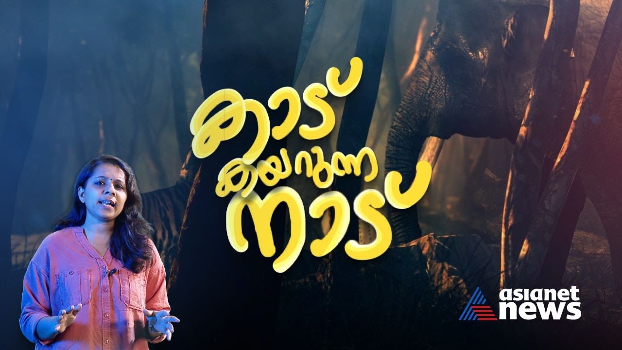 വന്യജീവികൾ അടിക്കടി നാട്ടിലേക്ക്; കേരളം എങ്ങനെ പ്രതിരോധിക്കണം? | Human - Wildlife Conflict