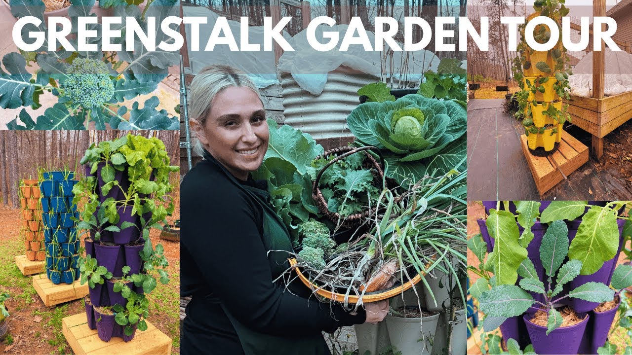 Экскурсия по саду Greenstalk и сбор урожая | Брокколи, капуста кале и лук-порей, февраль 2026 г.