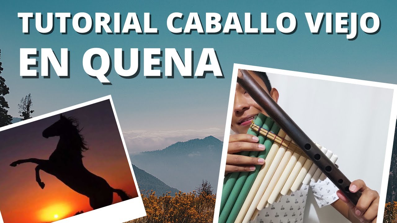 Caballo viejo 