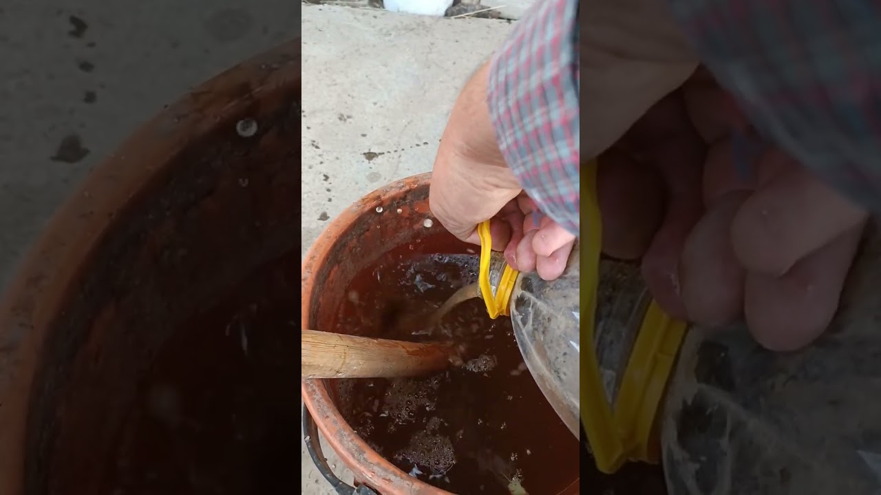 Өсімдіктерге және шлаушандарға витамин эм биогум дайындау процесі  87767155572  87085775042