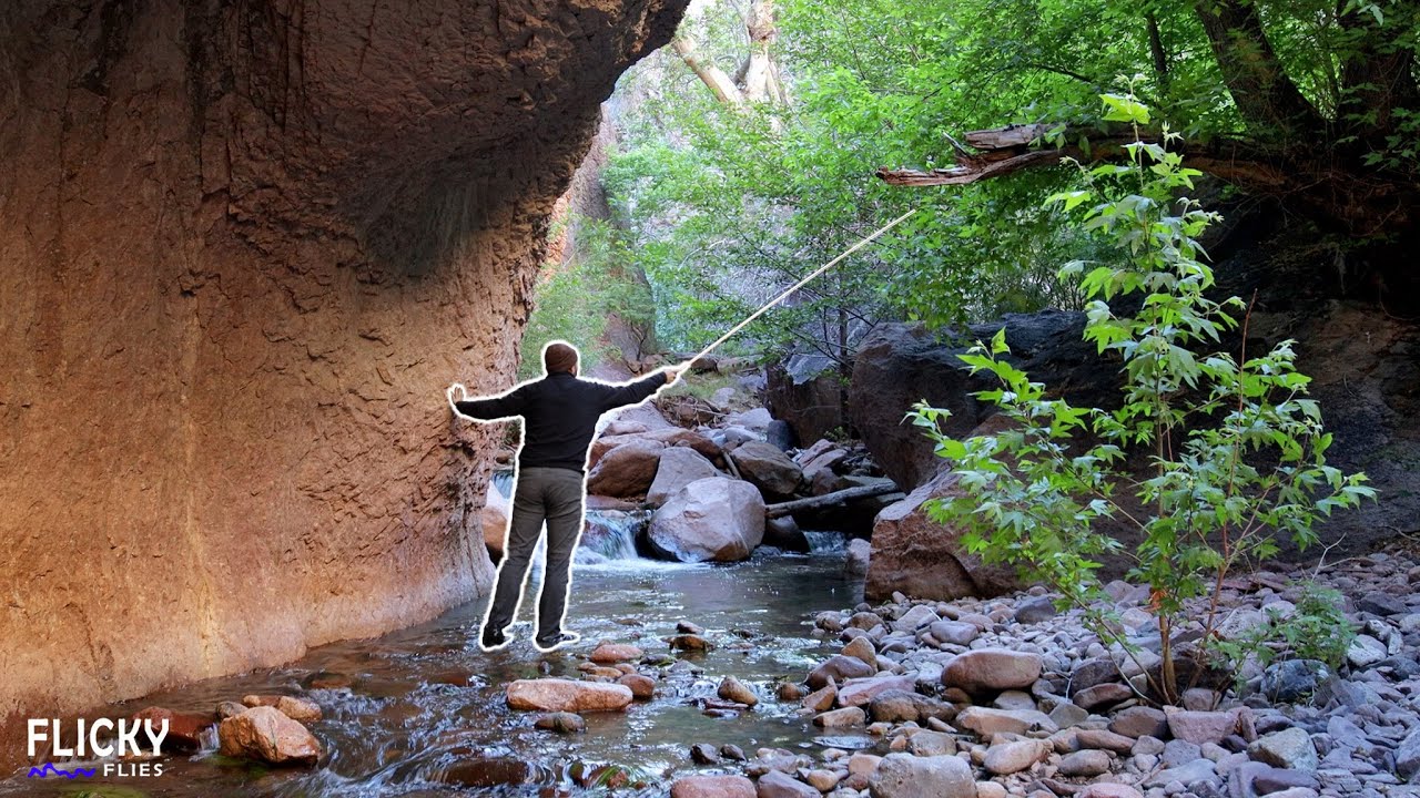 The Rarest Trout in America Lives in THIS Desert Canyon?