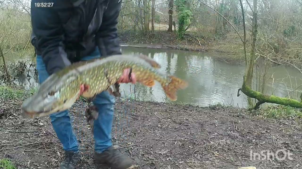 Bursa Nilüfer Dere , turna avı #pikefishing #bursa #turnaavı