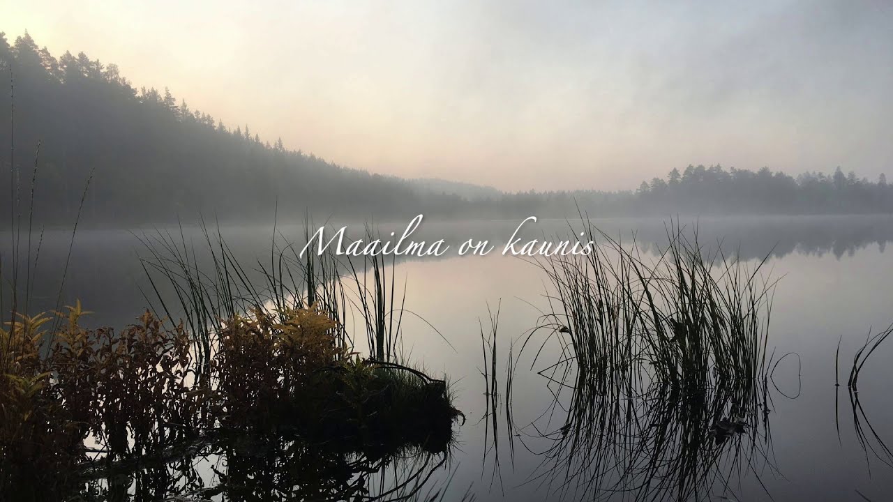 Maailma on kaunis - Unico