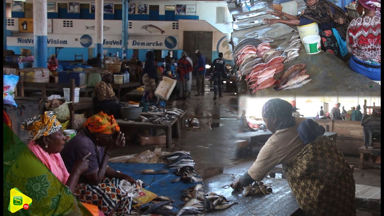 Marché central au poisson : A la découverte de ces braves femmes