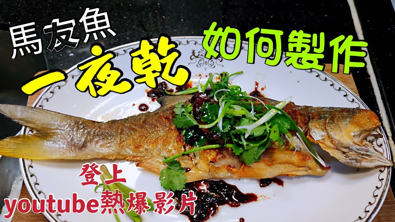 〈職人吹水 〉 youtube熱爆影片 北風到 馬友一夜乾 三個重點講解  香煎馬友一夜乾 附上中文字幕