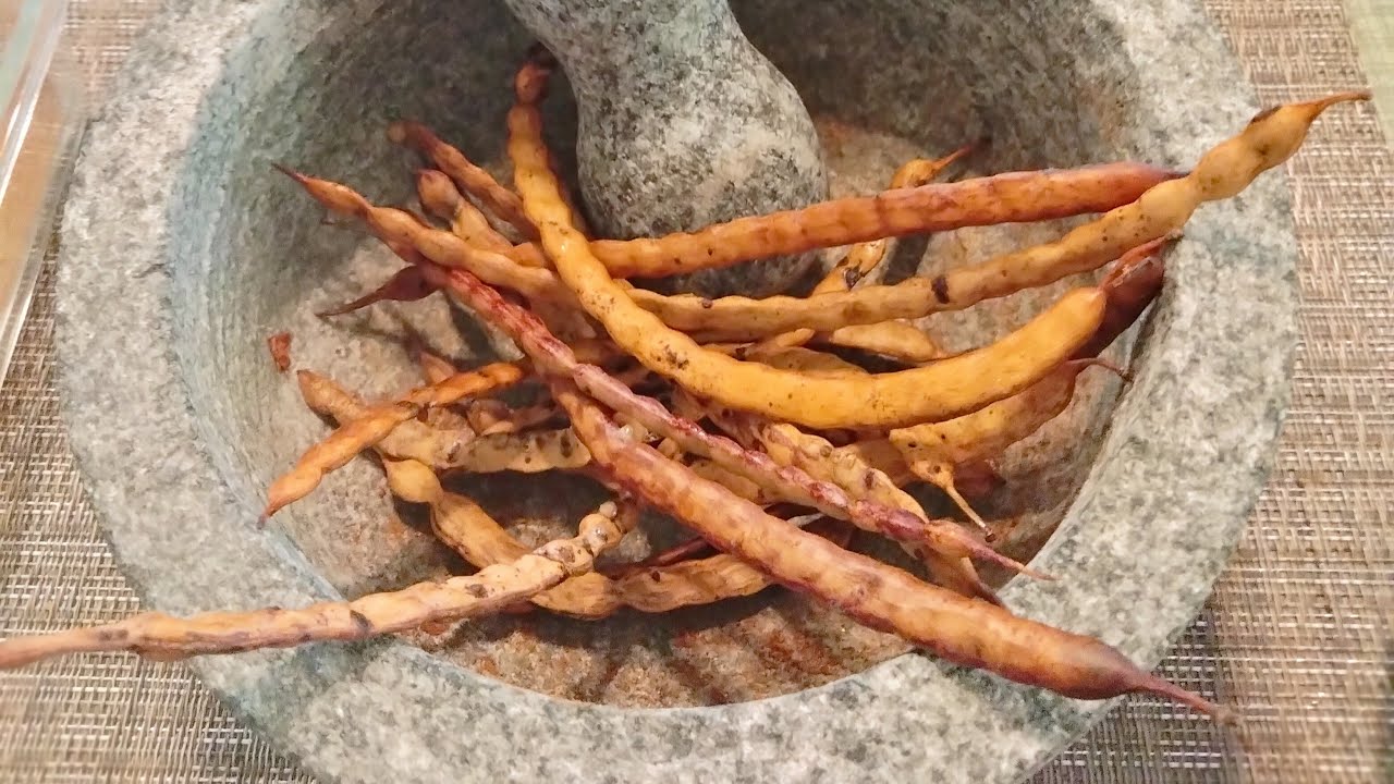 Texas Honey Mesquite Beans: How to Make Coffee, Tea & Flour
