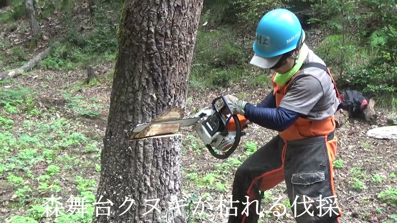 2025-10-13杤原の活動