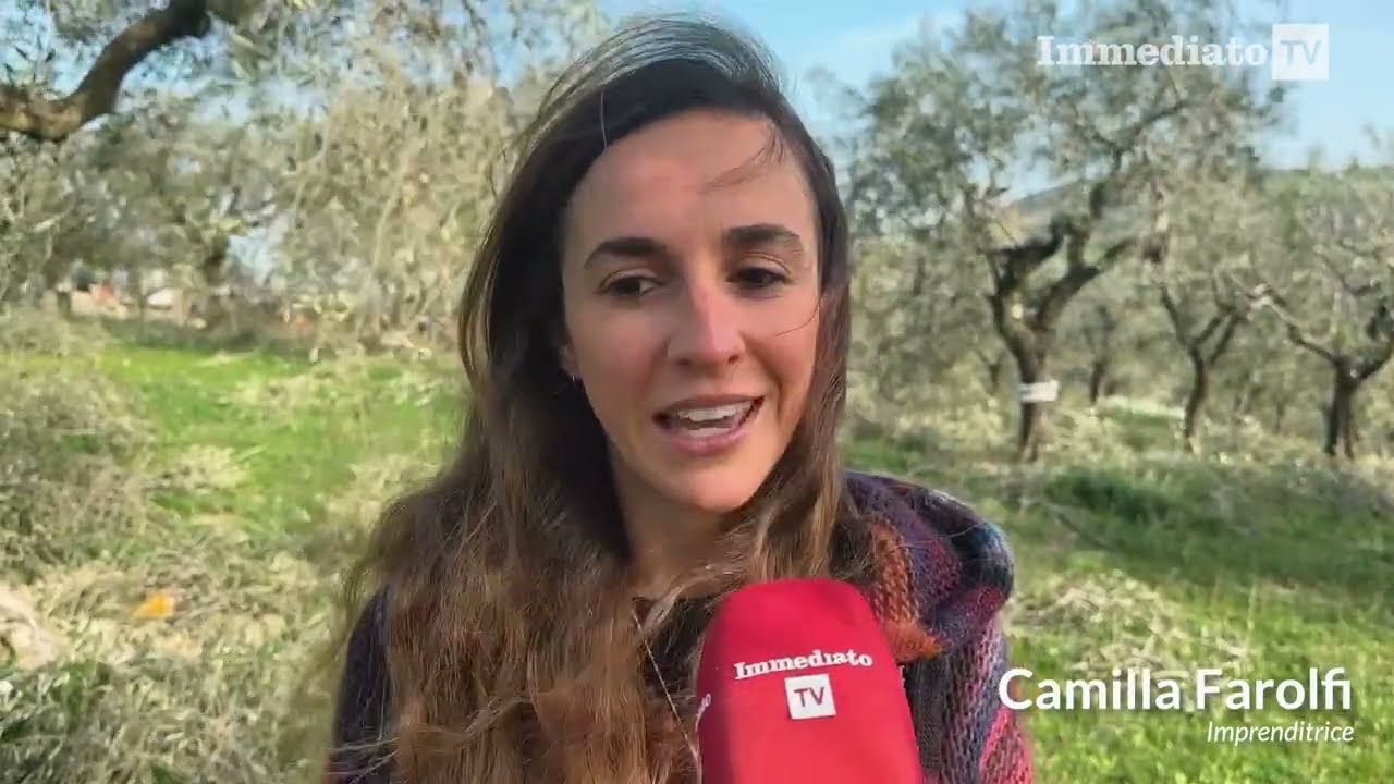 IL MEGLIO DELLA PROVINCIA: BOVINO SUI MONTI DAUNI