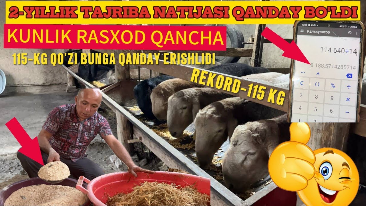 QANDAY YEM BILAN QO'ZI QO’CHQORLAR 115.KGLI BO'LDI REKORD??