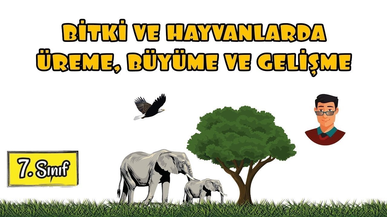 Bitki ve Hayvanlarda Üreme, Büyüme ve Gelişme / 7. Sınıf