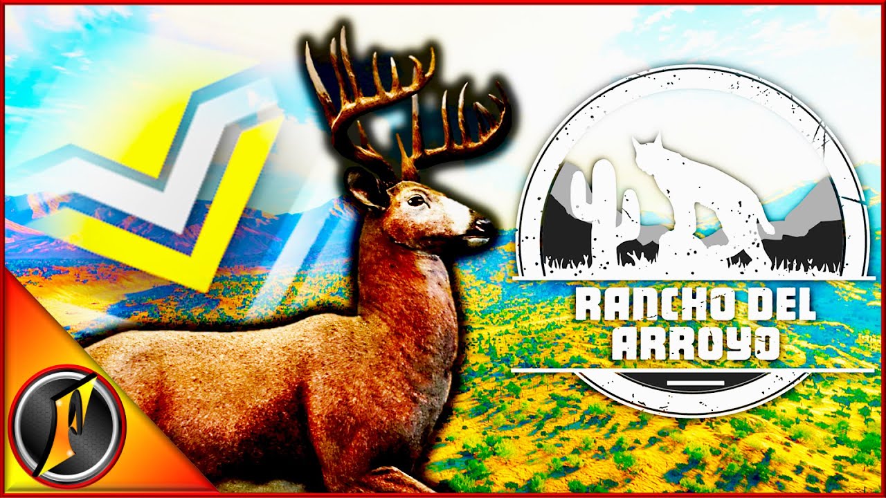 Our First Whitetail Diamond of the New Grind on Rancho!