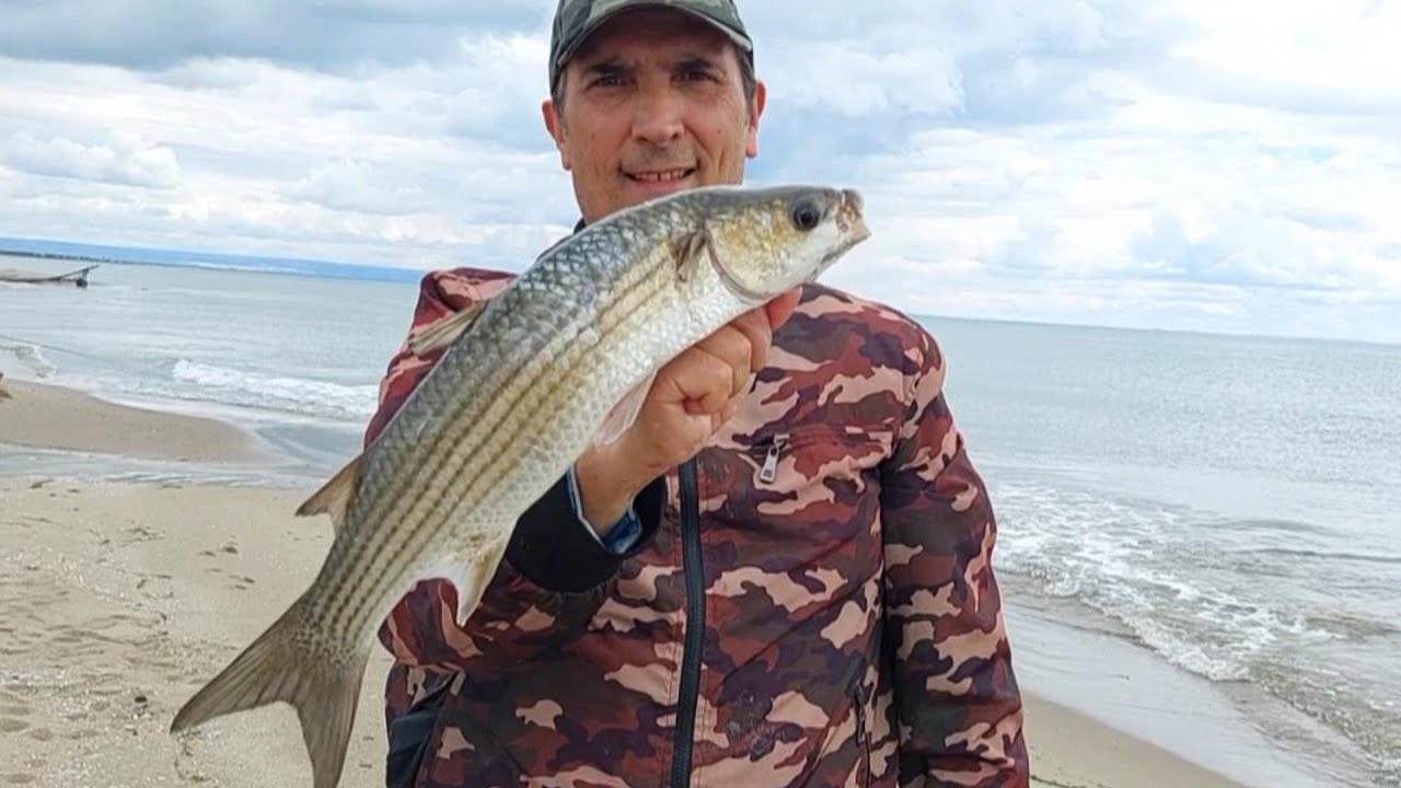 Tanti Consigli, Pesca al Cefalo...