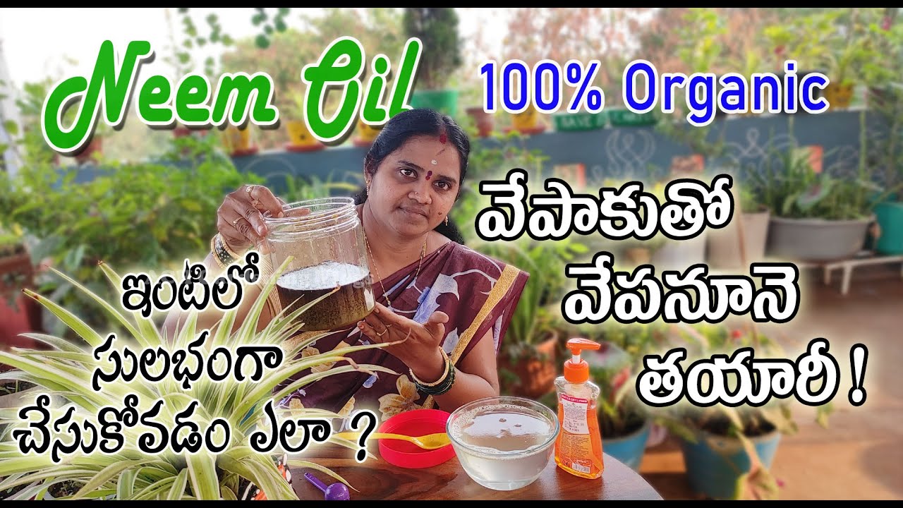 Neem Oil ఇంటిలోనే సులువుగా చేసేద్దాం | How To Make Neem Oil At Home | Gardening In Telugu #NeemOil