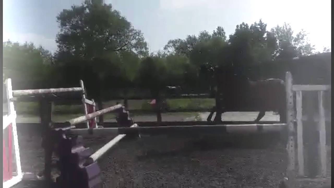 Jumping 1.45m