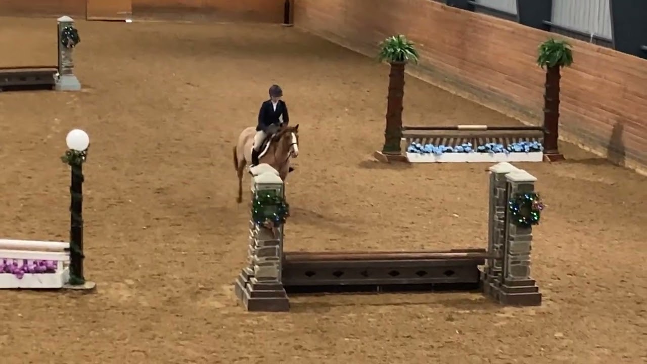 Maddy and Super 2’6” Low Hunter