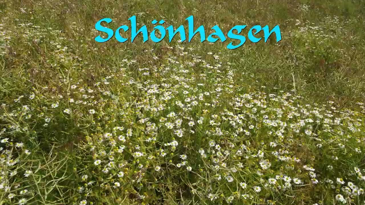 2022 06 28 Schönhagen
