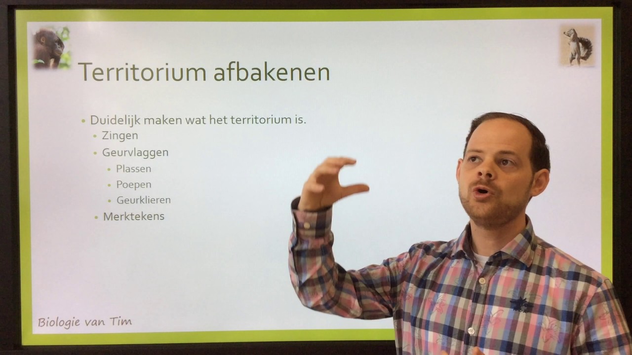 Biologie van Tim - Territorium (gedrag)