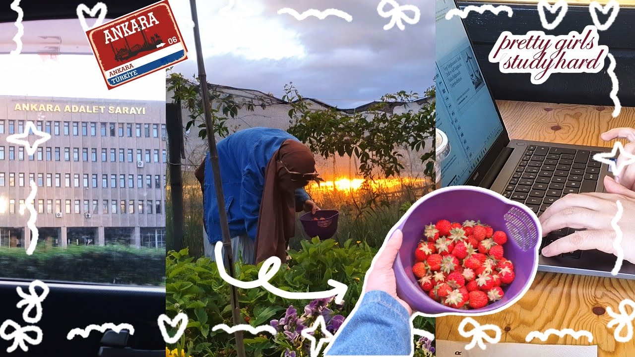 ☃️Kışın Ortasında Yazı Özleyenler İçin: Galeride Kalan O Günler🌸 #sessizvlog 