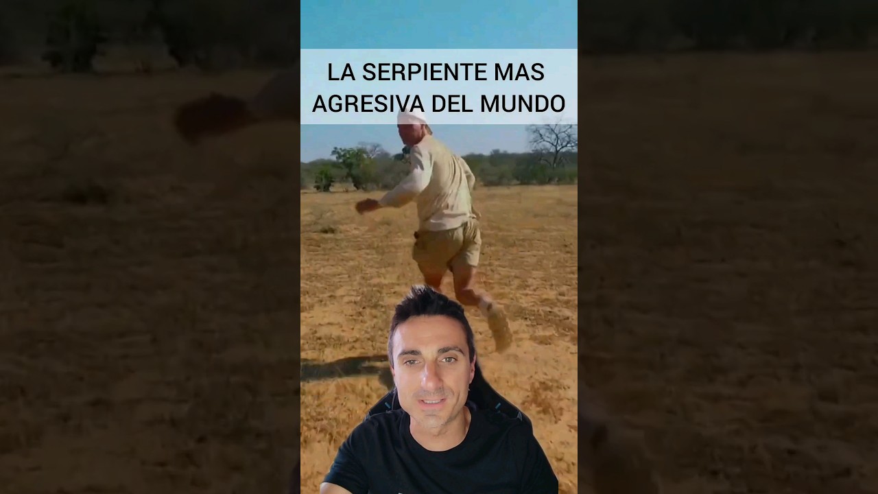 La serpiente más agresiva del mundo.#supervivencia #emergencia #curiosidades