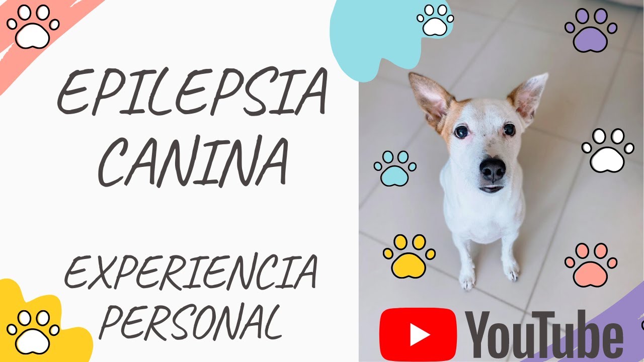 EPILEPSIA CANINA / EXPERIENCIA PERSONAL / EPILEPSIA IDIOPÁTICA