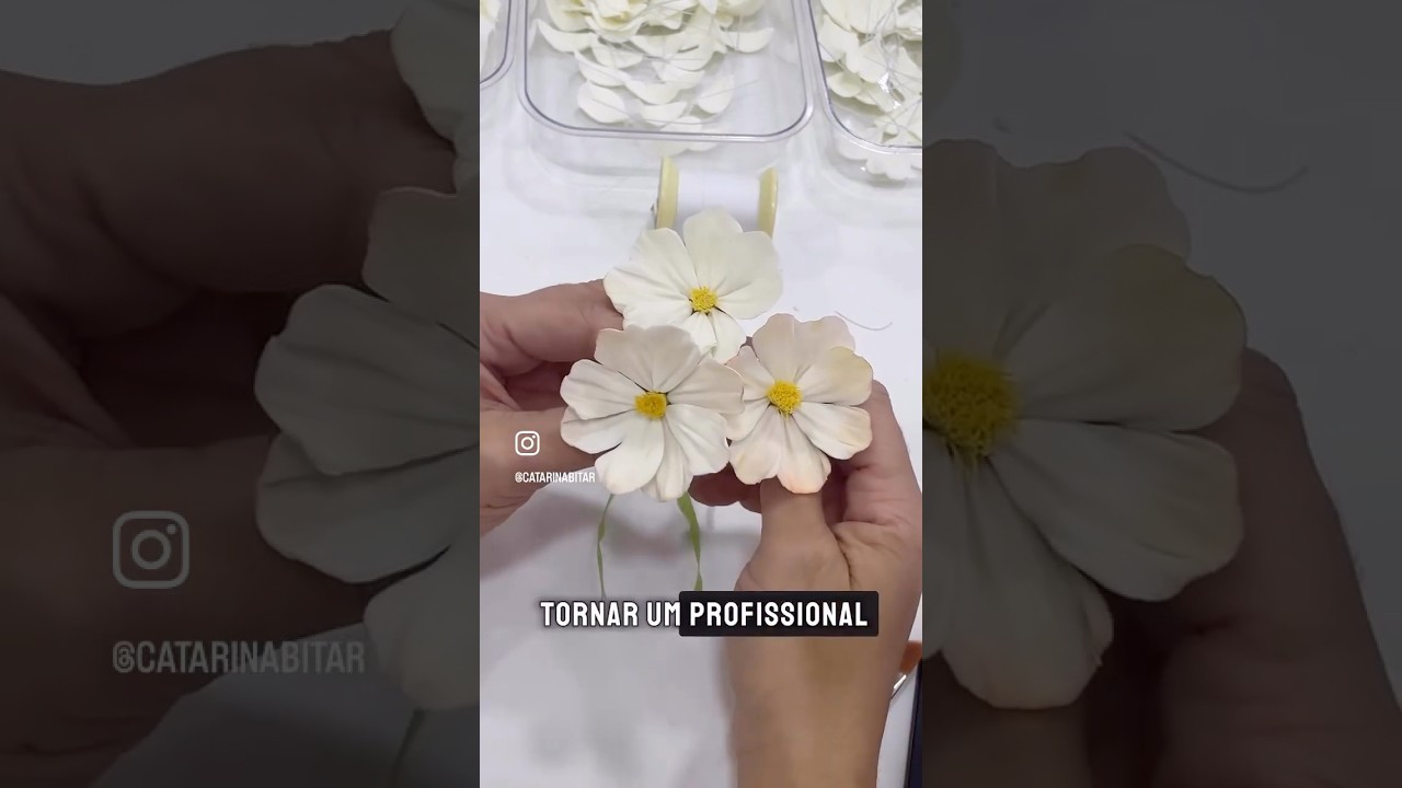 FLORES DE A&Ccedil;&Uacute;CAR: Cosmos de a&ccedil;&uacute;car