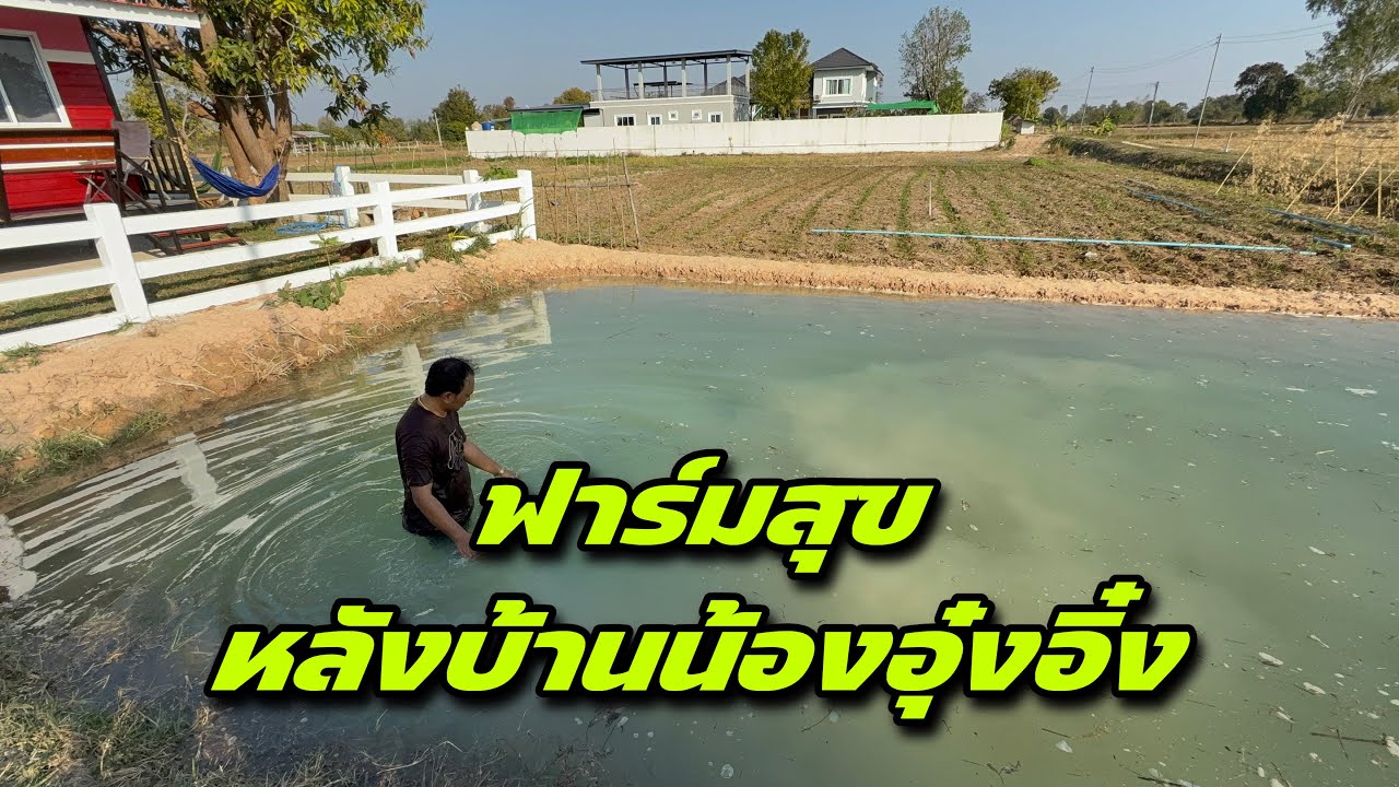 ฟาร์มสุขหลังบ้านน้องอุ๋งอิ๋ง