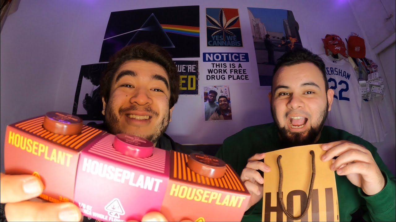 REVIEWING SETH ROGEN&rsquo;S HOUSEPLANT WEED! &ldquo;PINK MOON&rdquo;