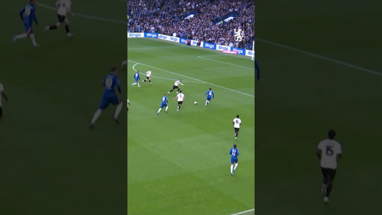 Estevao highlights ⚡