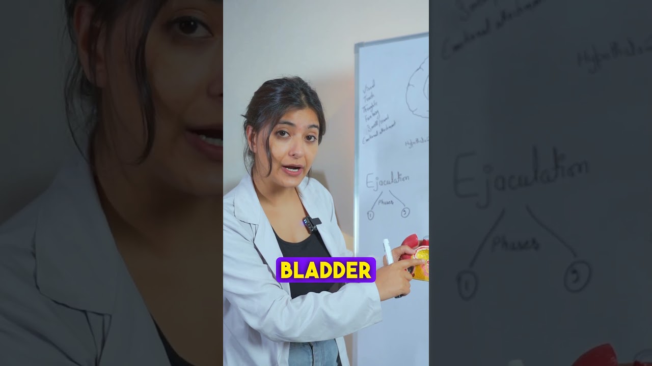 How Does the Body Controls ejaculation?  Dr Sonali
