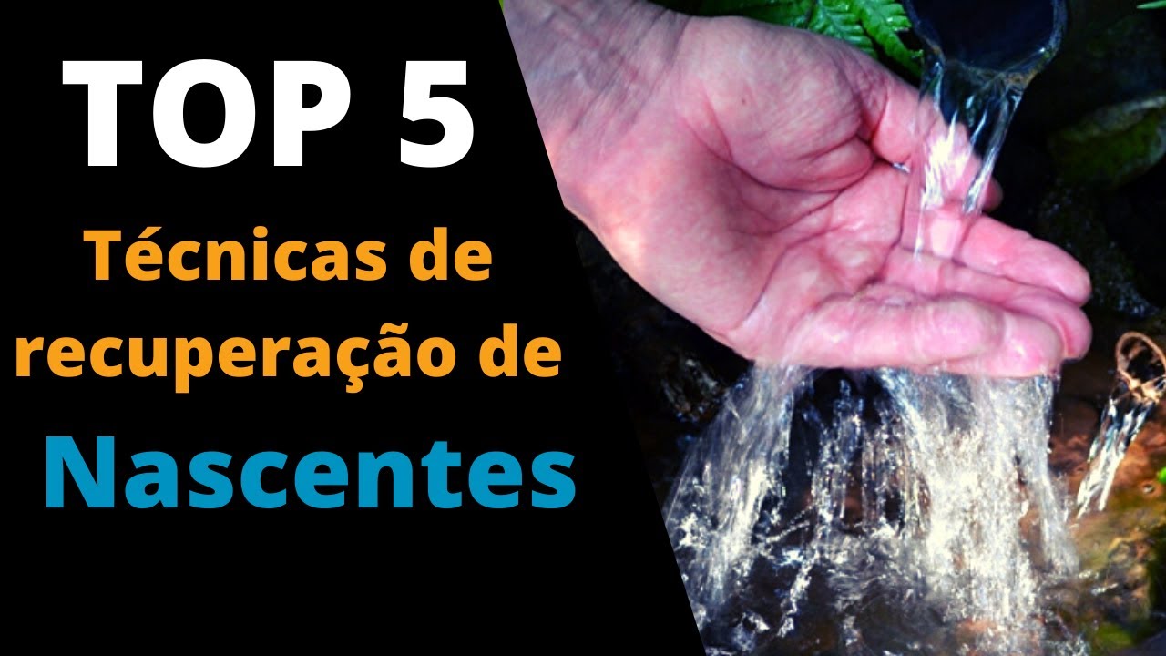 Top cinco técnicas de recuperação de nascentes