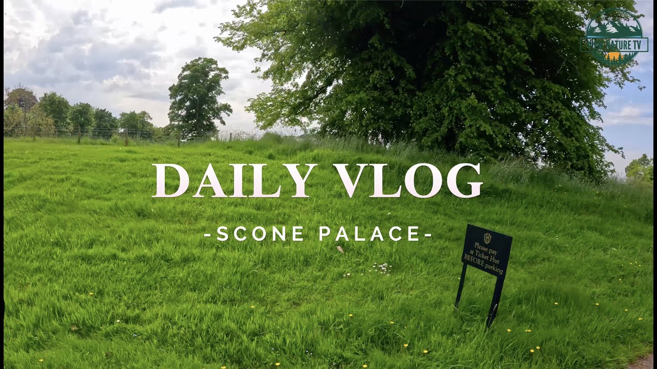 Daily Vlog 06- Scone Palace (Perth)