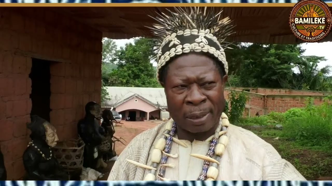 À la découverte du groupement Fotomena – Épisode 6 : Village NKO'O, quand la terre forge la dignité