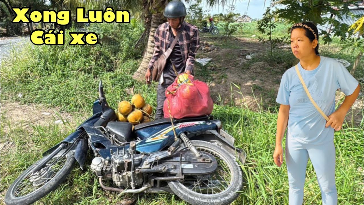 Tới công chuyện thành chạy xe 60 cây số chỉ để mua dừa tới khi chở về té cười siểu 