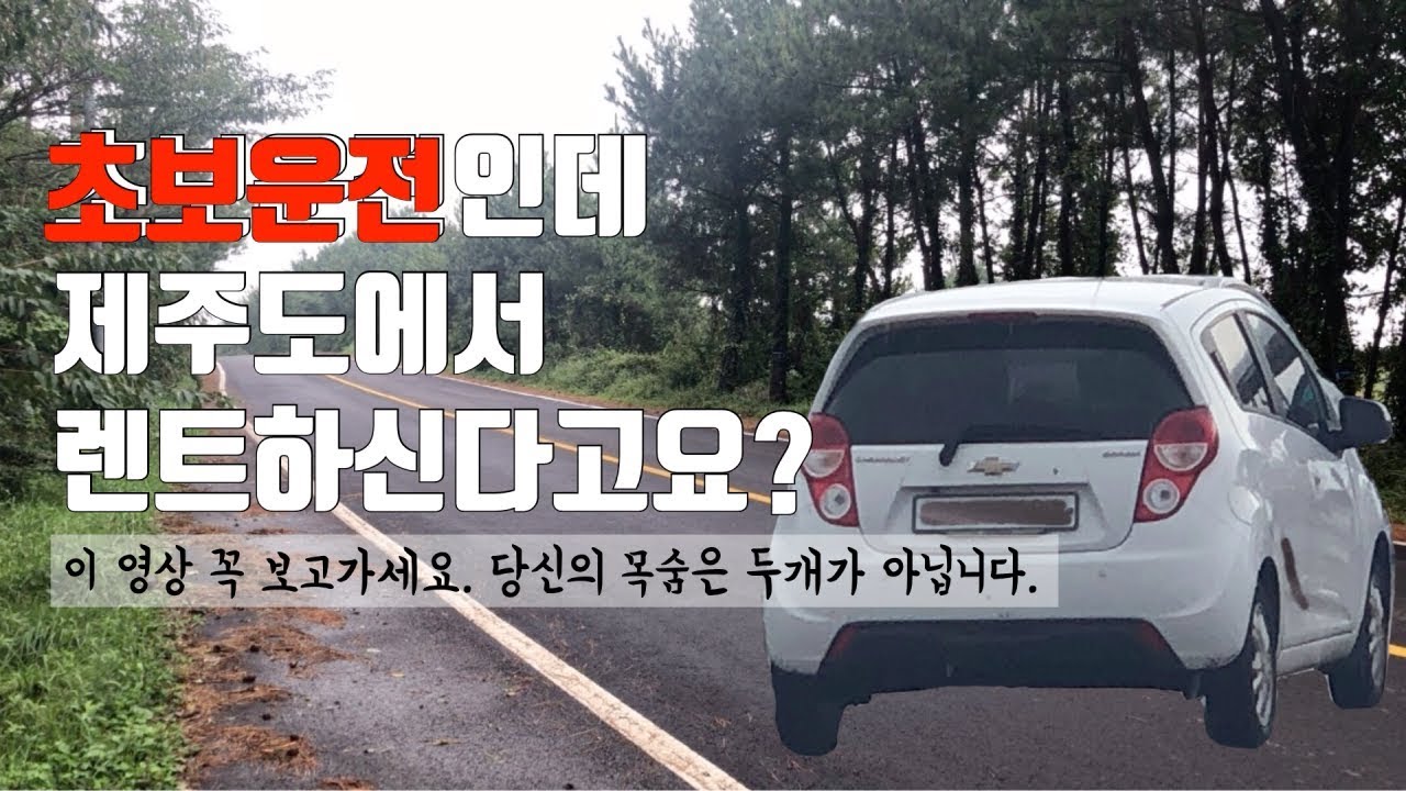 [꿀팁]초보운전자들을 위한 제주도 운전, 도로사정 뽀개기! 유의사항 숙지하고 여행가세요! [해니의제주일년살이]