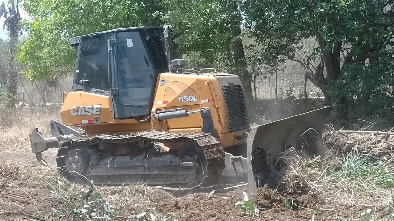 Trator de esteira Case fazendo limpeza de terreno para plantar capim